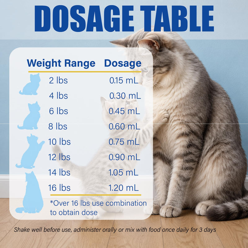 Broad Spectrum Cat Dewormer Liquid for Cats & Kittens (2–16 lbs) – Praziquantel & Pyrantel Pamoate Oral Suspension for Tapeworms, Roundworms & Hookworms, 100 mL with Oral Syringe
