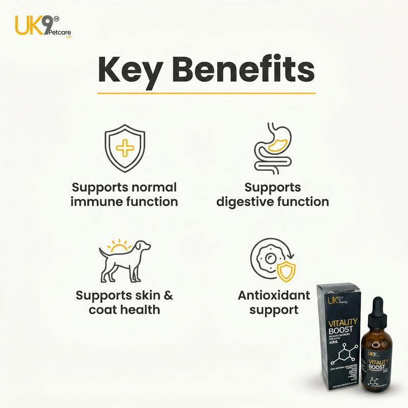 UK9 Vitality Boost, Immune Support Vitamins for Dogs, Wild Mushroom for dogs, with Chaga, Turkey Tail, Shiitake, Reishi and Maitake Mushroom Extract, Beta Glucan 60ml easy dosage liquid k9 drops.