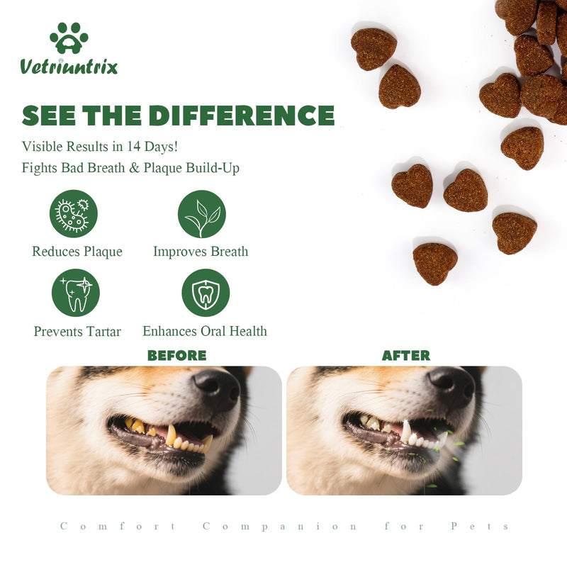 Dog Teeth Cleaning Chews, Dog Dental Chews for Plaque & Tartar Control with Natural Enzymes, Dental Care for Dogs with Probiotic, Fresh Breath for Small Medium Large Dogs