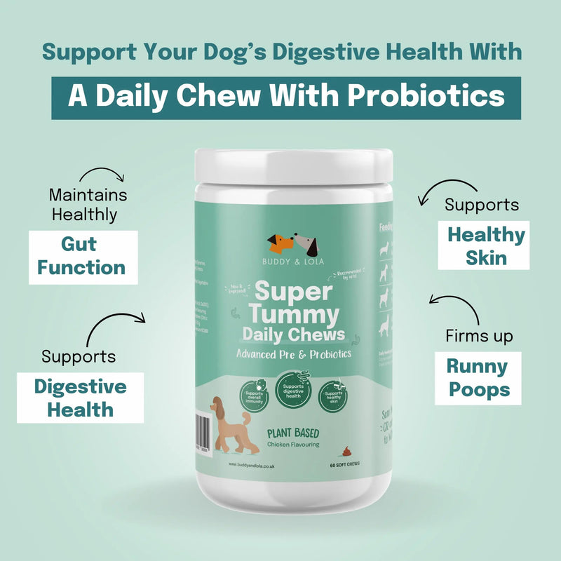 Buddy & Lola Probiotics For Dogs - Daily Dog Probiotic Chews For Digestive Health - Beneficial Prebiotics, Probiotics & Fibre For Better Gut, Firm Stools, Less itching - Plant Based Chews For Dogs 60 Soft Chews (1 Tub)