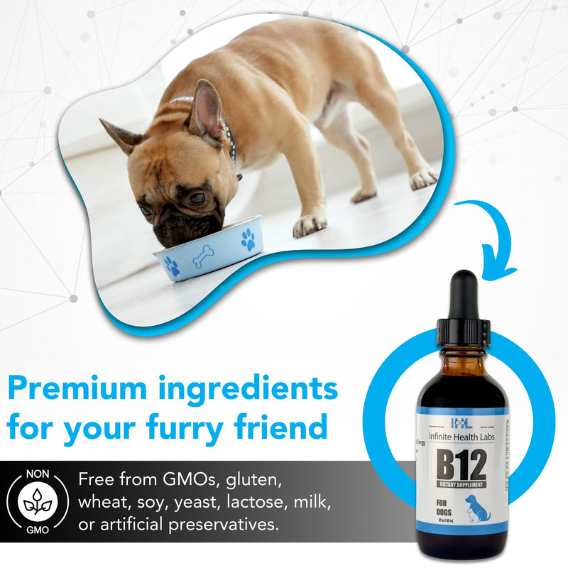 Liquid Vitamin B-12 for Dogs - Methylcobalamin Liquid Supplement for Pets - Dog Vitamins for Medium & Large Breed - Pet Vitamins and Supplements - Dog Multivitamins Liquid - PawsPlanet Australia