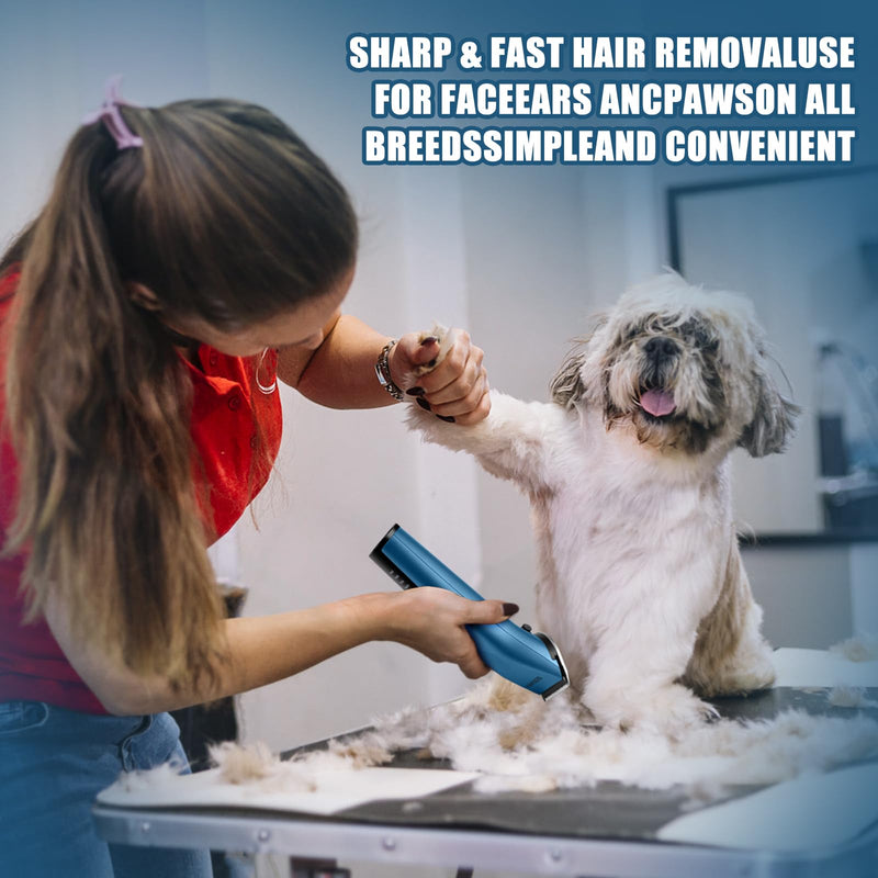 Professional Animal Pet Dog Cat and Horse Cordless Hair Clipper Grooming Kit with 5 in 1 Blade Low Noise & High Power Rechargeable Cordless Pet Grooming Clipper for for Thick Heavy Coats (blue) Blue - BeesActive Australia