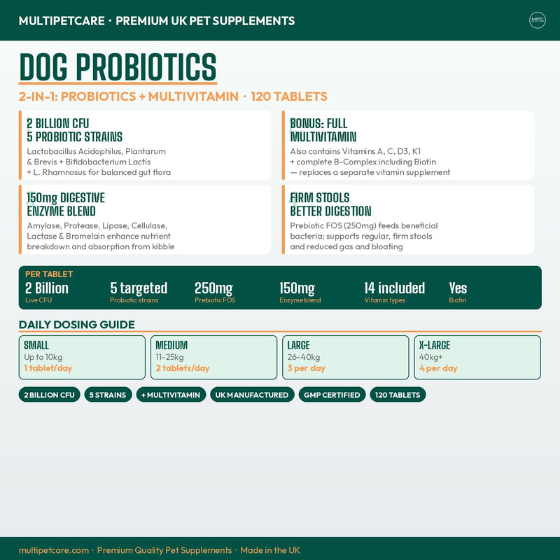 Probiotics for Dogs – 5-Strain 2 Billion CFU + Digestive Enzymes & Prebiotics | Gut Health, Firm Stools, Less Gas & Bloating | Full B-Complex Vitamins in One Tablet | Chicken Flavor | UK GMP | 120 Ct