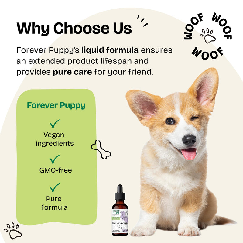 Echinacea Drops for Dogs - Respiratory Health & Immunity Support w/Echinacea Herb Tincture - Liquid Immune Support Supplement for Dogs of All Breeds & Sizes - 2 oz 2 fl oz - PawsPlanet Australia