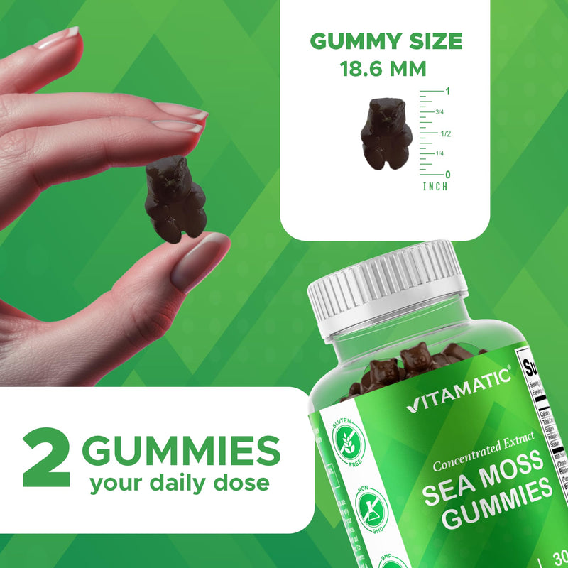 Vitamatic Sea Moss Gummies with Bladderwrack & Burdock, 60 Gummies - 2 Pack | Premium Botanical Blend for Immune Support*, Natural Raspberry Flavor, Vegan, Non-GMO, Gluten Free.