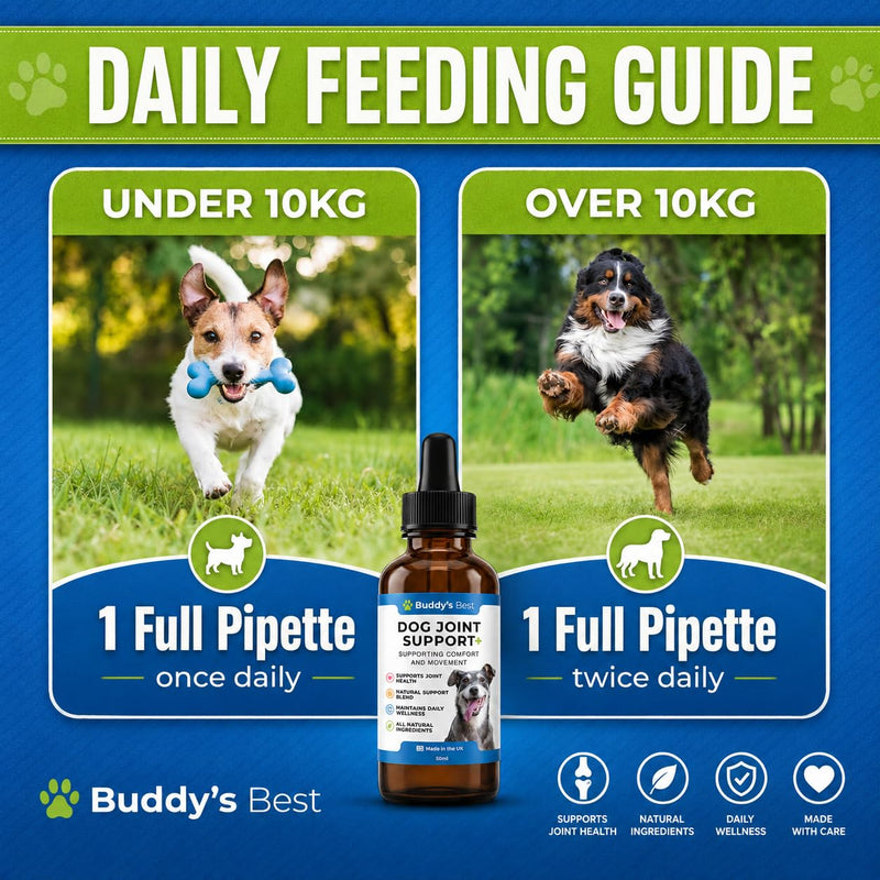 BUDDY'S BEST Complete Joint Care Bundle for Dogs | Supports Healthy Joints & Mobility | Natural Ingredients for Flexibility & Comfort | Easy-to-Use Liquid Formula | 50ml Each | Made in the UK
