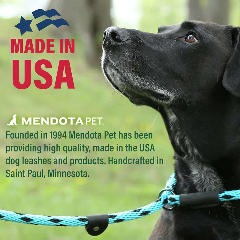 Mendota Pet Slip Leash - Dog Lead and Collar Combo - Made in The USA - Black Confetti, 1/2 in x 6 ft - for Large Breeds - BeesActive Australia