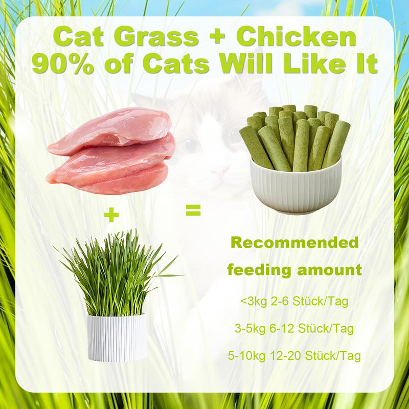 Cat Grass Teething Stick Grass for Indoor Cats, Dental Treats Cat Chew Sticks Cats Teeth Cleaning Treats Natural Grass Catnip Stick Catnip Teething Toy Dental Sticks for Hairball Removal (12 Pcs) 12 Pcs