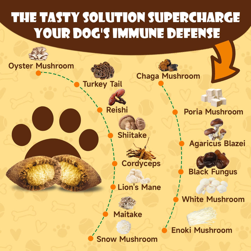 Mushroom Chews for Dogs - Turkey Tail Mushroom for Dogs - Dog Lumps & Bumps - Immune Health Support, Digestive,Cellular, Joint, Skin, Coat - Reishi, Lions Mane, Shiitake - 160 Chews
