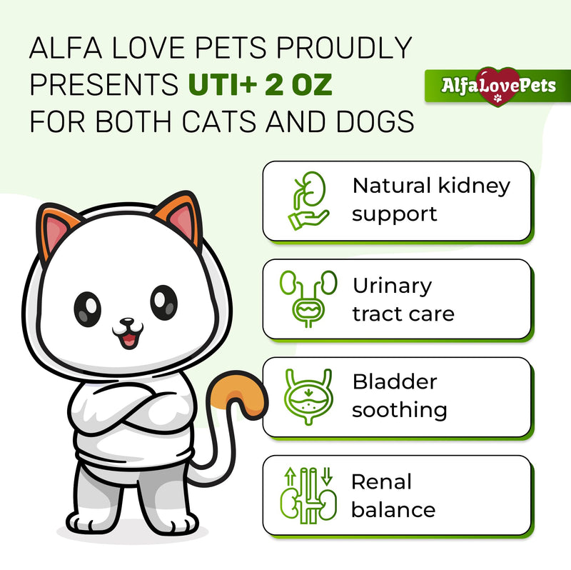Cat UTI Treatment to Care for Kidneys and Bladder – Dog UTI Treatment for Pets of All Ages and Breeds – Urinary Tract Cat Safe Formula – Cranberry Supplement for Dogs & Other Pets – 2 Oz 2 Fl Oz