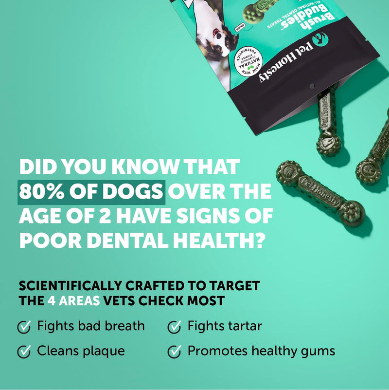 Pet Honesty Dog Wellness Virtual Bundle – 10-in-1 Multivitamin Supplement (Chicken, 180 Ct) + Brush Buddies Dental Sticks for Medium Dogs (15 Ct) – Daily Health & Dental Support