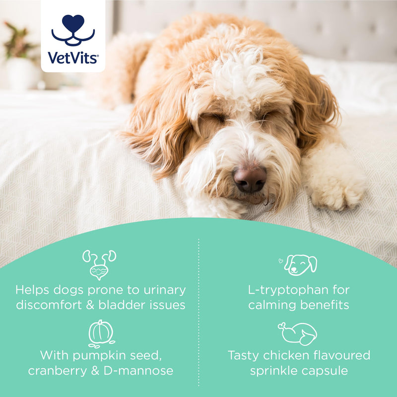 Bladder Support for Dogs (60 capsules) | Helps reduce indoor accidents | Urinary Health for Dogs | Bladder complex with pumpkin seed, D-mannose and cranberry