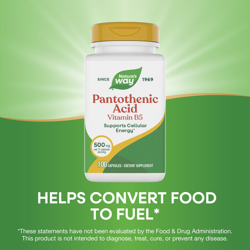 Nature's Way Pantothenic Acid Capsules, Supports Cellular Energy*, 100 ct | 500 mg per Serving, Vitamin B5, Helps Convert Food to Fuel*, Gluten-Free, Dietary Supplement Unflavored 100 Count (Pack of 1)
