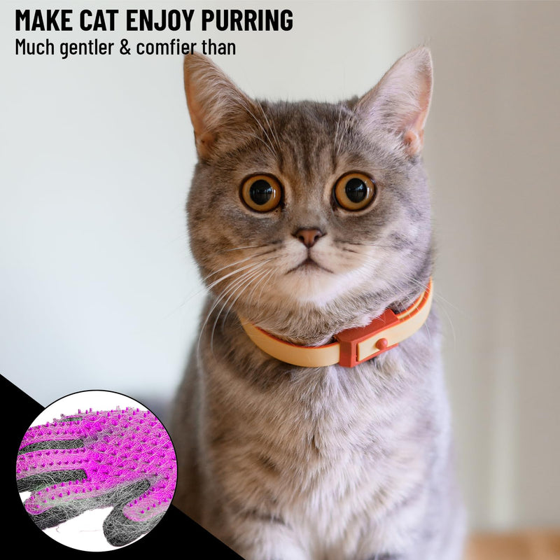 Complete Professional Pet Grooming Kit with Pet Hair Removal Tool Brush Gloves, Self Cleaning Slicker Brush, and Pro Grooming Dog Brush Deshedder Comb to Reduce Shedding (Pink) Pink - BeesActive Australia