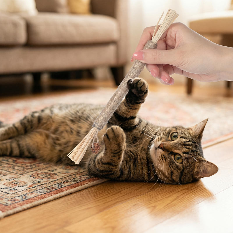 7 Pcs Cat Chew Toys Cat Toy, Rope & Silvervine Sticks, Cats Toys for Indoor Cats, Kitten Teething Dental Care, Teeth Cleaning & Boredom Relief