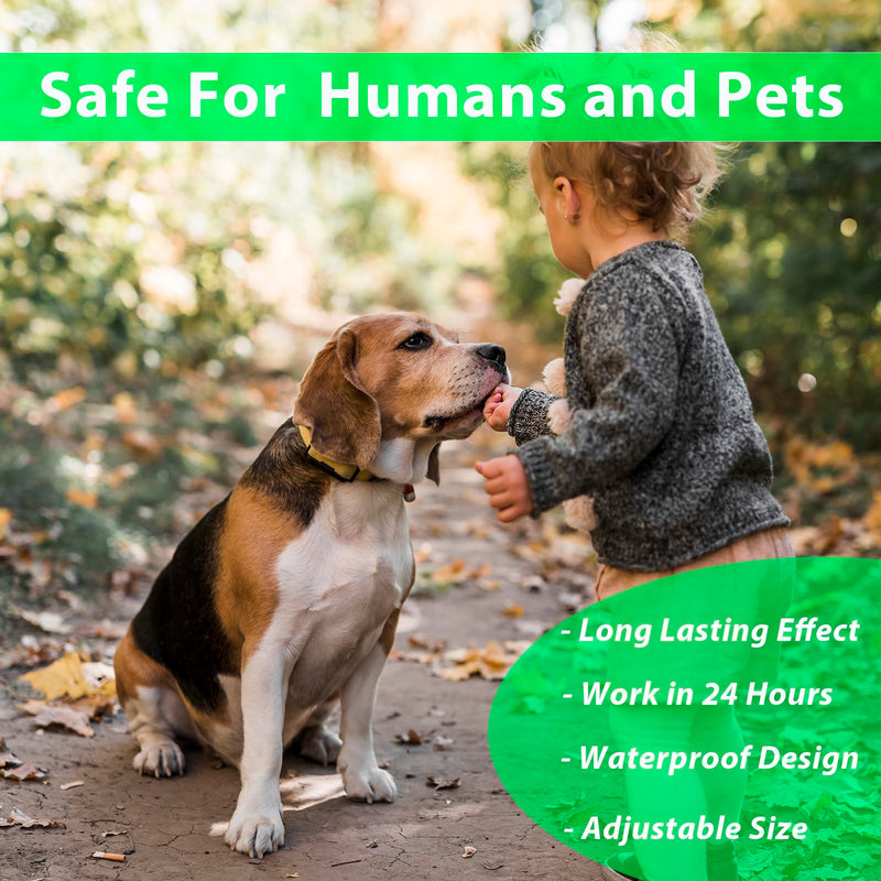 Pets4Luv Flea and Tick Collar for Dogs, Flea Collar for Dogs, 24 Months Protection, One Size for All Dogs, Adjustable and Waterproof, Pack of 3 - BeesActive Australia