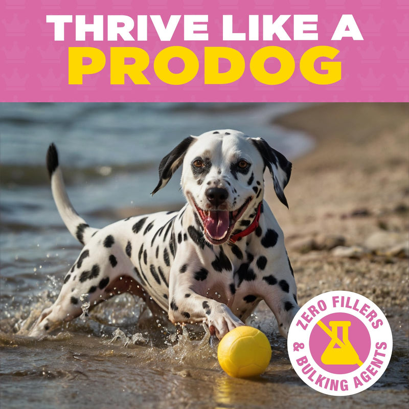 ProDog Boost Dog Multivitamin & Mineral Supplement - 28 Essential Nutrients - For All Dogs (30 Servings) (90 Gram) (180 Gram) 60 Servings (Pack of 1)