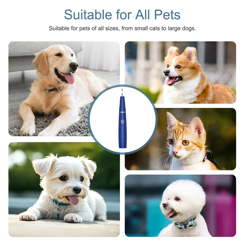 Upgraded Plaque Remover for Teeth, Electric Pet Teeth Cleaning Kit, USB Charging Dog Tooth Brushing Kit, 5 Modes, IPX6 Waterproof Pet Ultrasonic Toothbrush Cleaner for Dogs Cats (Blue) Blue