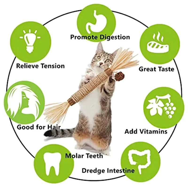 TheGuard 4 Natural Catnip Toys Set; 3 Matatabi Silvervine Chew Sticks & Cute Scented Mint Fish Cat Chew Toy with Catnip & Sound for Cuddle (Natural Teethers) Natural Teethers