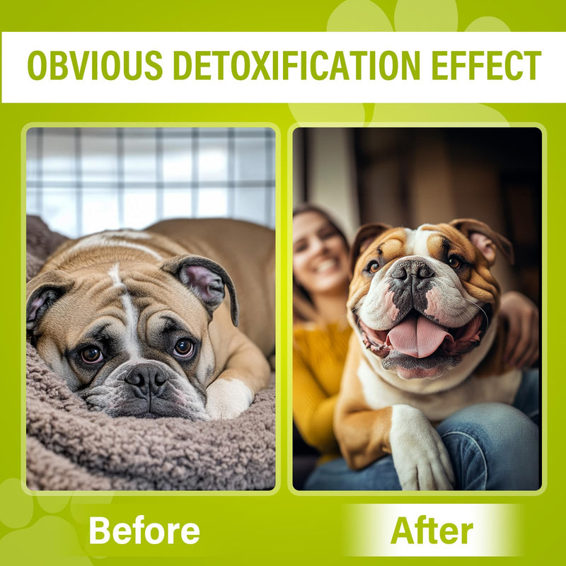Activated Charcoal for Dogs, Activated Charcoal Gel Odor Absorber, Dog First Aid Essential, Supports Detox, Diarrhea and Gas Relief, Non-GMO, 120ml - BeesActive Australia