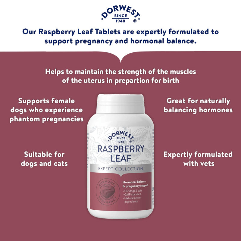 Dorwest Raspberry Leaf Tablets for Dogs And Cats, 500 Tablets, Pregnancy Support For Pets – For Natural Hormonal Balance and Phantom Pregnancies
