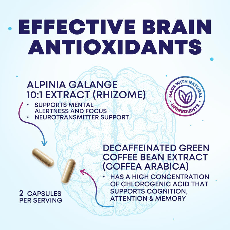 Brain Memory Supplement Pills - 3X Strength Nootropics for Concentration, Clarity & Focus Support - Brain Health Cognitive Vitamins with Bacopa, Phosphatidylserine & DMAE, Brain Booster - 240 Capsules 240 Count (Pack of 1)