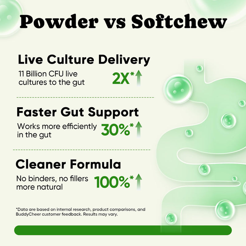 Skin & Gut Health Bundle for Dogs – Omega-3 Chews + Probiotic Powder