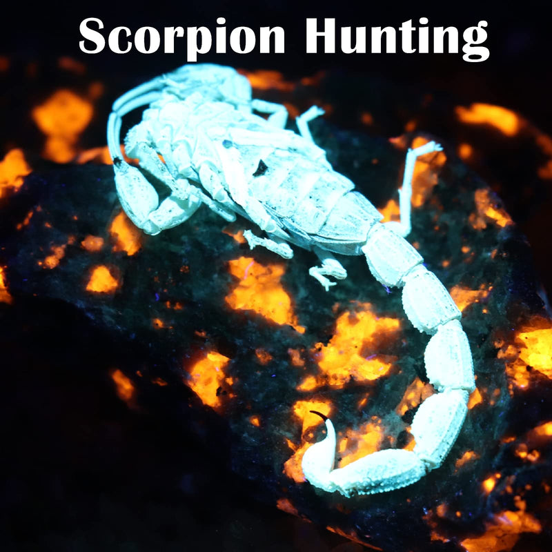 S5 UV Flashlight, Super Bright Black Light Flashlight with 5 LEDs, for UV Resin Curing, Rockhounding, Pet Urine Detecting, Scorpion Hunting (365NM) 365NM - BeesActive Australia