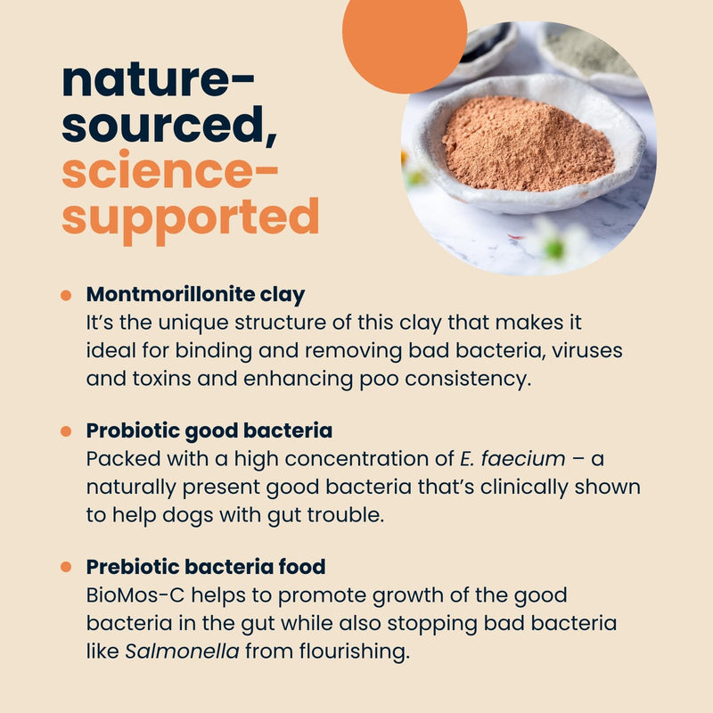 Seraquin Digest | 30 ml paste | Diarrhoea support | Healthy digestion | Probiotic and prebiotic | For dogs and cats Dogs & Cats
