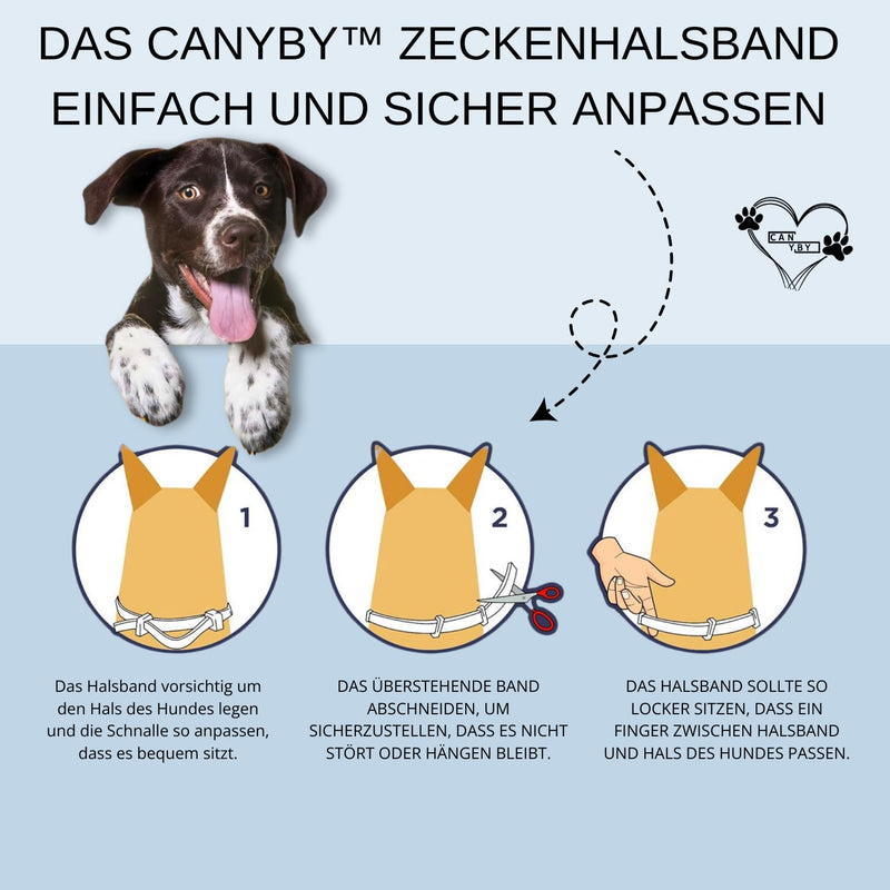 CANYBY Tick Collar for Dogs - Natural Tick & Flea Protection, Waterproof & Effective Protection for up to 8 Months with 100% Natural Ingredients (Orange, 62cm) Orange - BeesActive Australia