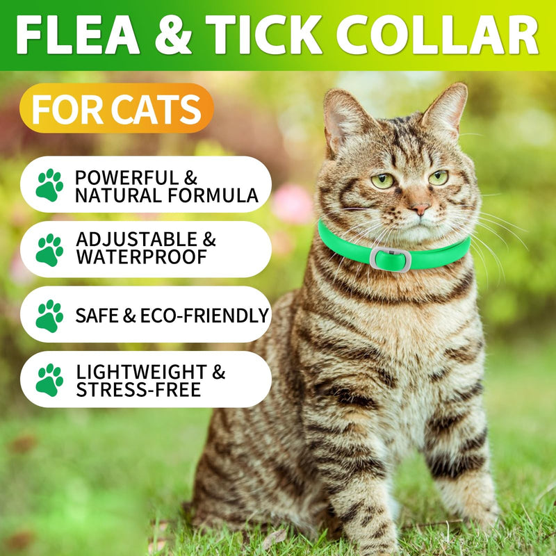 Flea collar cat, 4 pieces, tick collar for cats, anti-flea cat collar, adjustable and waterproof, natural and safe, 48 cm length, 24 months protection, tick flea collar for all cats - BeesActive Australia