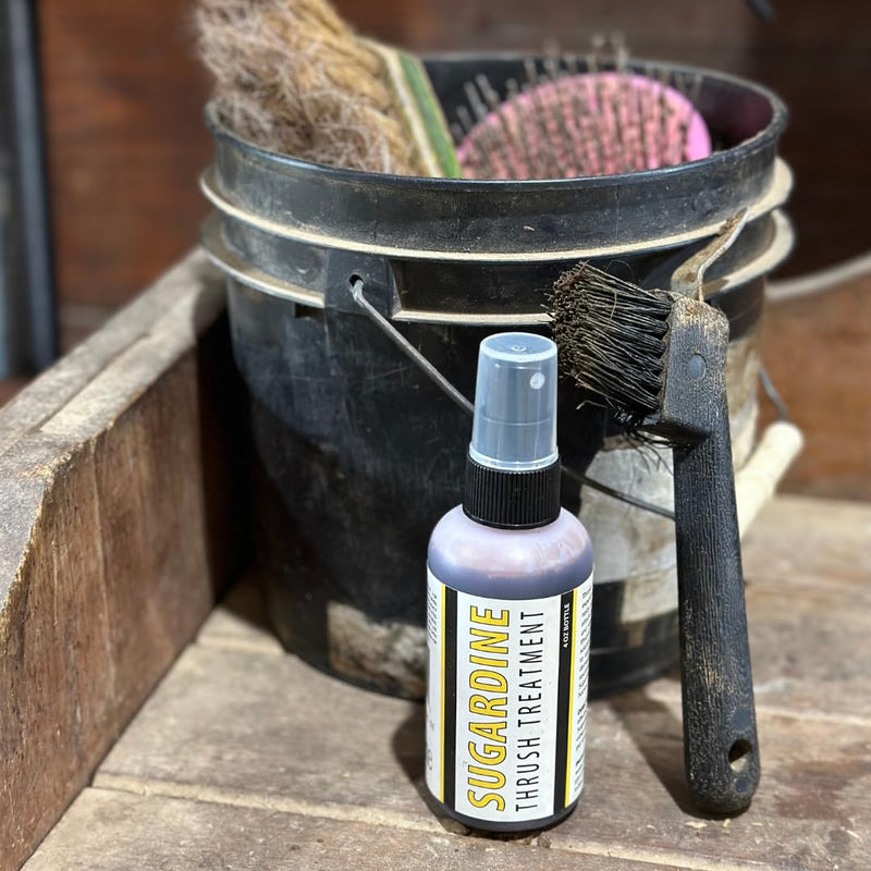 Sugardine Thrush Treatment - for Equestrians, Horses with Thrush, Liquid Thrush Treatment, Cure Your Horses Thrush - BeesActive Australia