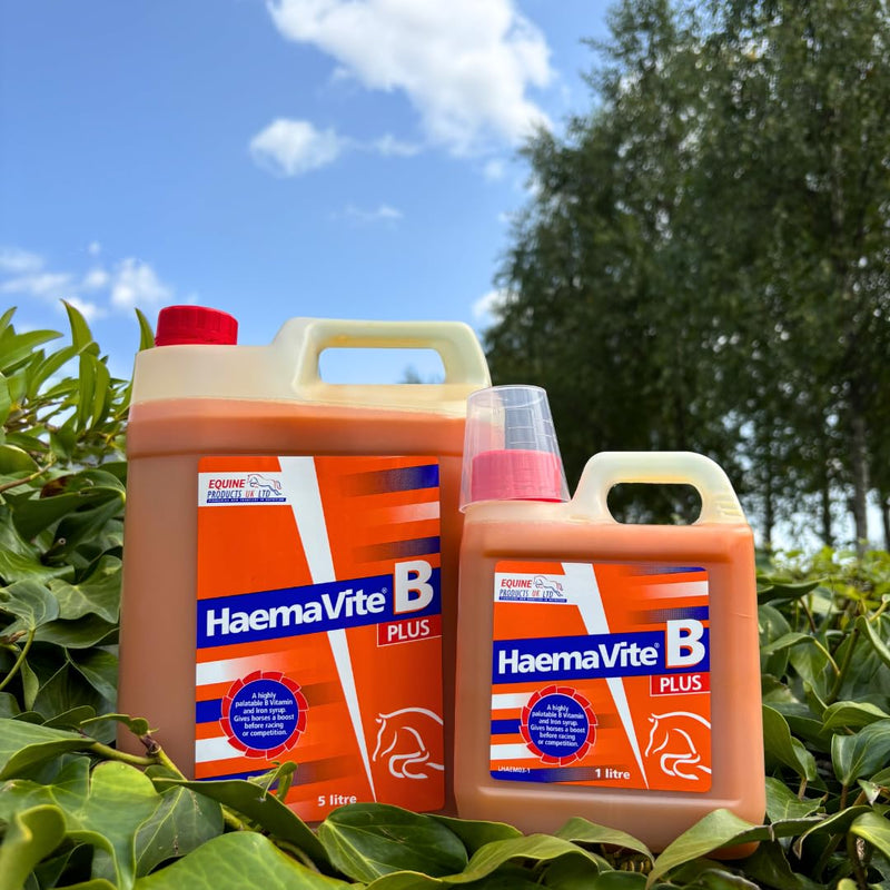 Equine Products Haemavite B Plus Horse Supplement, 1 Litre. Iron & Vitamin Tonic For Energy And Recuperation