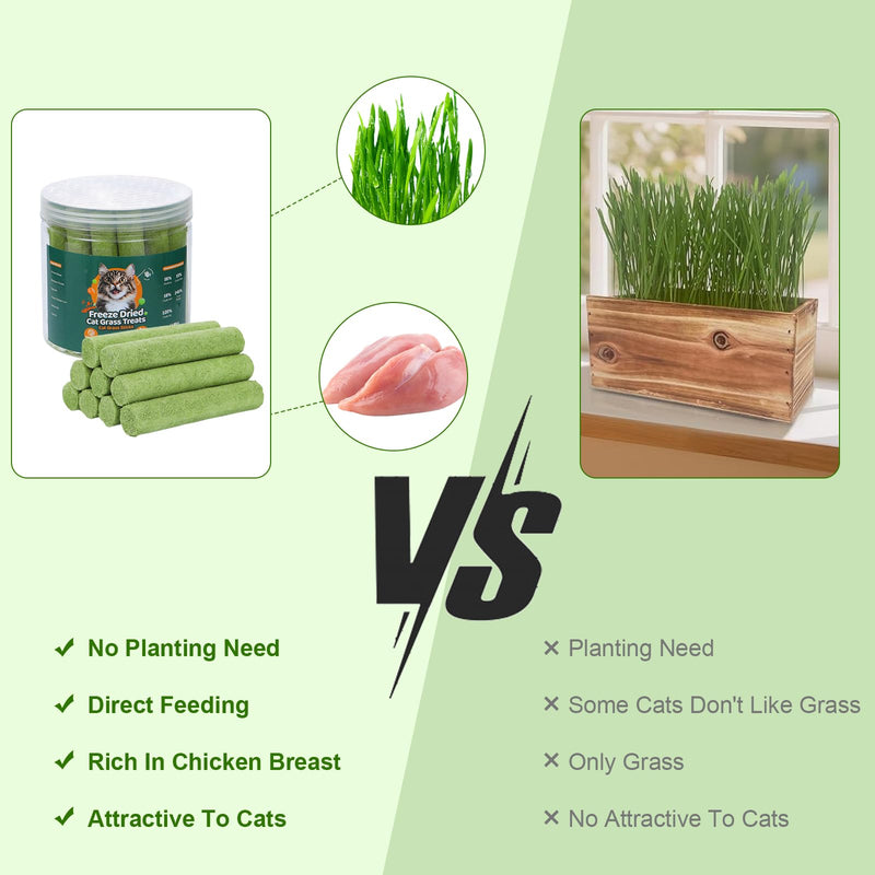110g Cat Grass Sticks for Indoor Cats, Natural Freeze-Dried Treats, Hairball Treatment, Edible Chew Toy Snack for Teething & Hairball Removal 3.88 Ounce (Pack of 1)