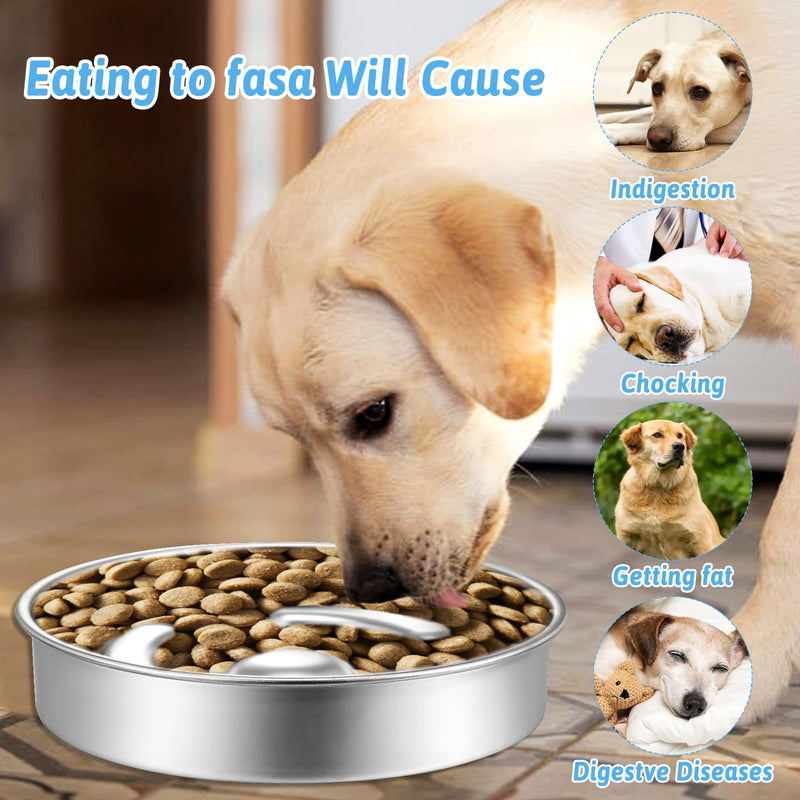 Molain Slow Feeder Dog Bowl, 2 Cups Stainless Steel Dog Food Bowls, Non-Slip Dog Water Bowl, Pet Bowl for Small & Medium Dogs, Fun Bloat Stop Dog Slow Feeder Bowl - BeesActive Australia