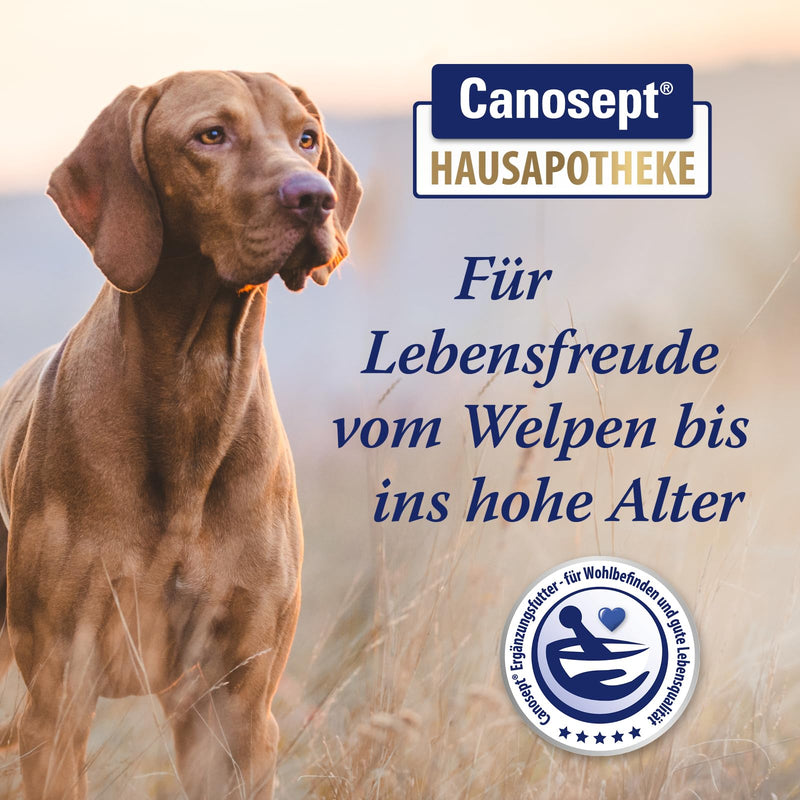 Canosept intestinal flora dog - prebiotics & probiotics dog - supports digestive disorders - building up dog intestinal flora - intestinal cleansing dog - promote dog digestion through intestinal treatment dog - 30 tablets intestinal tablets 30 pieces. - BeesActive Australia