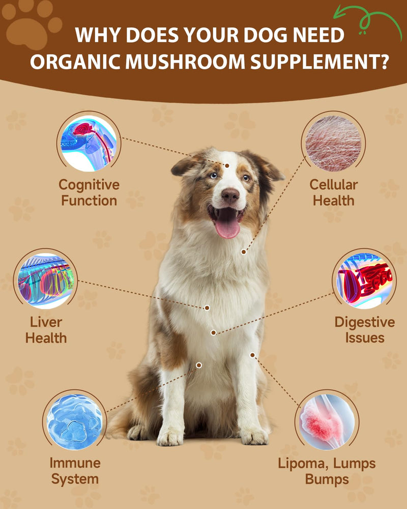 Cat Hairball Relief Drops & 9 in 1 Mushroom Powder