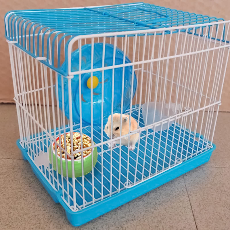 Hamster Bowls Dwarf Hamster Food Bowl Prevent Chewing Hamster Feeding Bowl Guinea Pig Hamster Water Rat Bowl Small Animal Food Dish for Syrian Rabbit Gerbil Chichilla Hedgehog Sugar Glider (2 Pack) Green Orange - BeesActive Australia