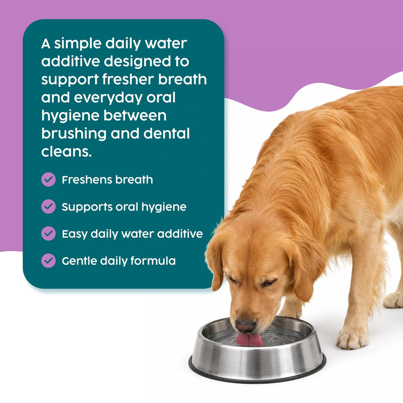 Dog Breath Freshener 500ml – Herbal Dental Water Additive for Dogs with Sage, Peppermint & Parsley, Daily Oral Care & Fresh Breath Support for Dogs