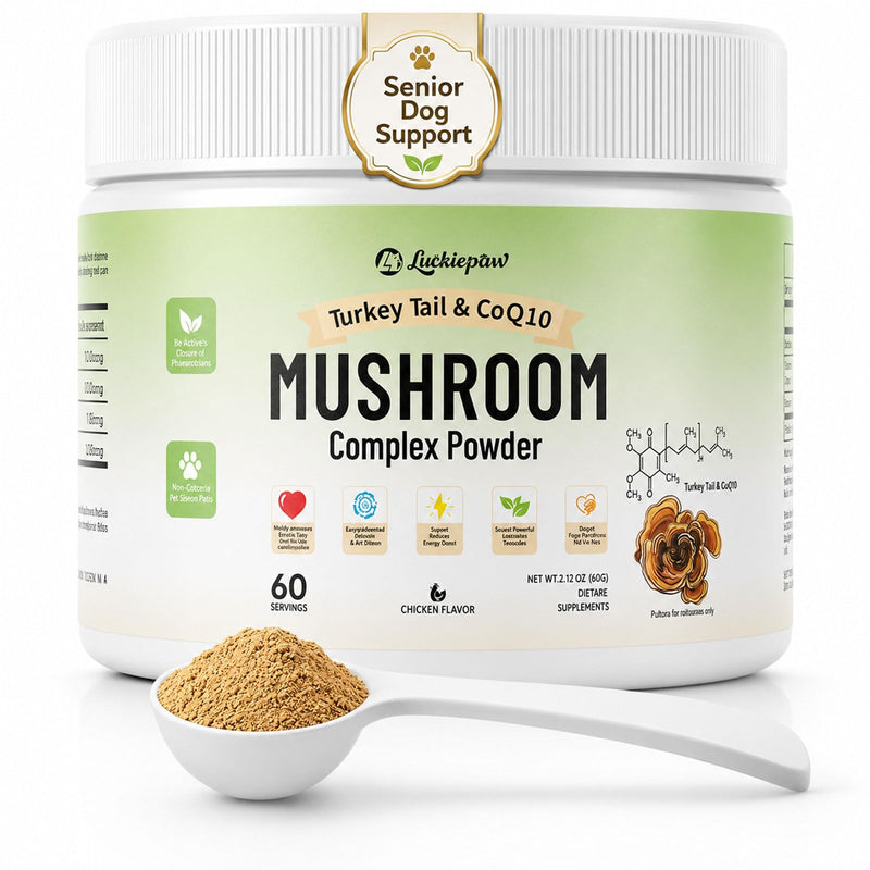 Organic Turkey Tail Mushroom Supplement for Senior Dogs & Cats – 10-in-1 Functional Mushroom Powder with CoQ10 for Immune Support, Digestive Health – Chicken Flavor, Scoop Included