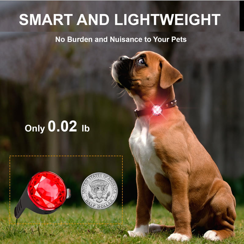 Pack of 2 dog collars, luminous for night, Tubasion luminous dog collar, rechargeable, 100% waterproof LED light for dogs. Dog Lights for Night Walks, Camping (Red) Red - BeesActive Australia