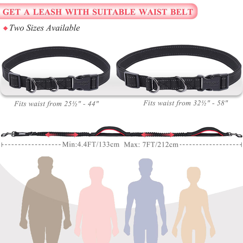 VIVAGLORY Hands Free Dog Leash Bungeetwin Running Dog Leash with Waist Belt for Running Walking & Jogging, Bungee & Around Waist for Pet, S, Black/Red Fits waist 25½"~44", Dual Bungee - BeesActive Australia