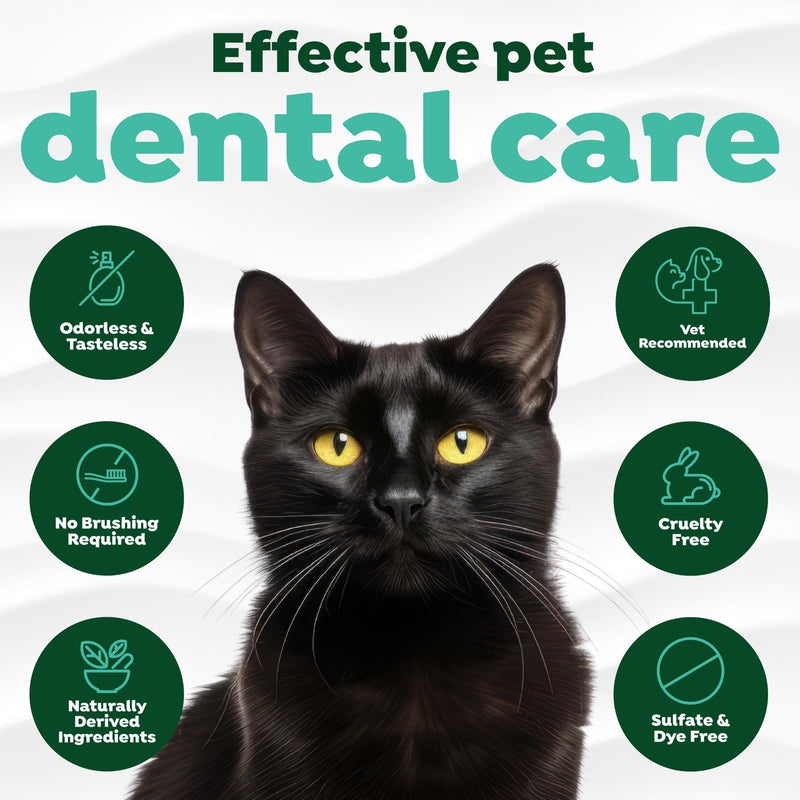 TropiClean Fresh Breath Water Additive for Cats, Cat Teeth Cleaning and Breath Freshener Solution, Complete No Brushing Dental Care, 16 oz. 16 Fl Oz (Pack of 1) Water Additive (Original)