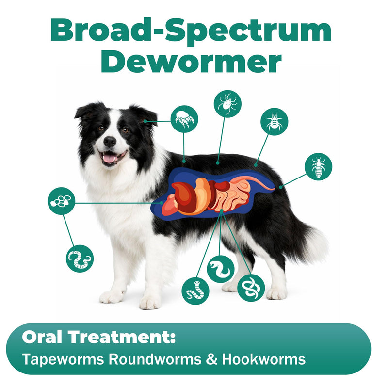 De-Wormer for Dogs, Oral Treatment for Tapeworm, Roundworm & Hookworm in Large Dogs & Puppies (Over 25 lbs), Worm Remover (Praziquantel & Pyrantel Pamoate), 12 Tablets