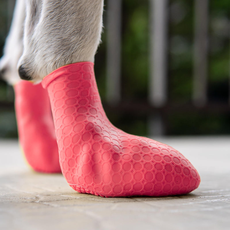 Soft Dog Paw Protectors | Skin-Like Silicone Dog Shoes | Small Medium Large Size Dogs | High-Grip Dog Booties Dog Socks for Snow Hot Pavement | Prevent Licking Protect Floors (Rose, Large) Salmon Rose Large, for paw width: 2.5" – 3" (6.2cm – 7.6cm) - BeesActive Australia