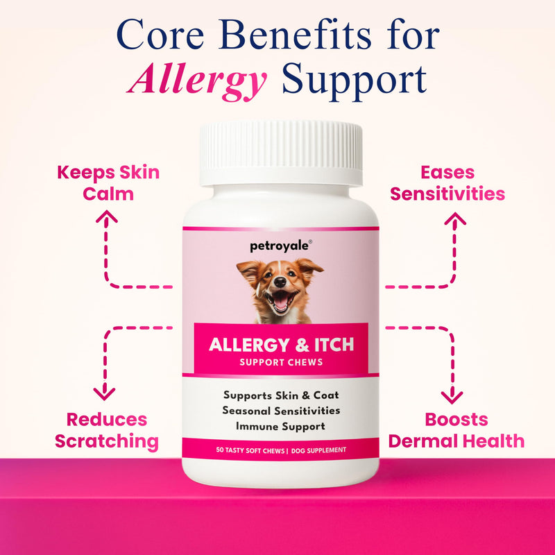 Dog Allergy & Itch Support Chews – Dog Allergy and Immune Chews – Skin, Coat & Seasonal Itch Relief – Dogs Allergy Chews- Dogs Itch Relief - Skin Allergy Relief (50 Soft Chew) 50 Soft Chew