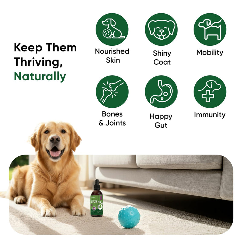 Hemp Oil for Dogs 60ml - Pure, Natural & Cold-Pressed - Dog Calming Products for Loud Noises, Car Rides & Home Alone Time - Rich in Omega 3, 6 & 9 - Dog Calming Drops for Skin, Coat, Bones & Joints