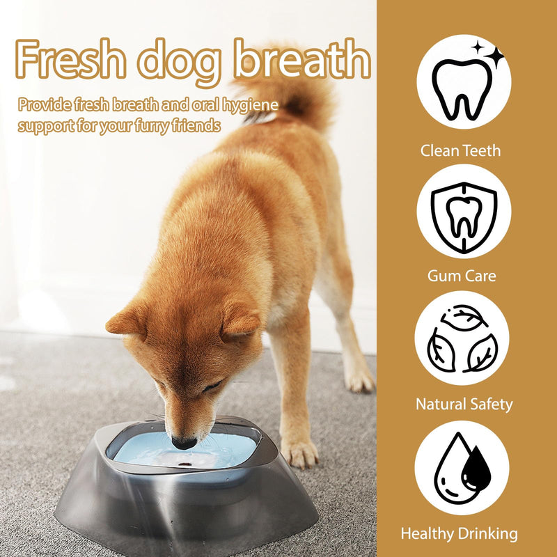 2 PCS PawBright Dental Plus,Natural, Odorless Flavorless Formula to Fight Tartar,Promote Healthy Gums & Freshen Breath,Easy Daily Use for all Pet