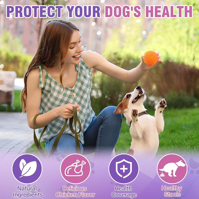 Dog Anal Gland Soft Chews 150 Stop Scoot for Dogs Supports Anal Gland Bowel Function Digestive Health Fiber Pumpkin Supplement for Dogs