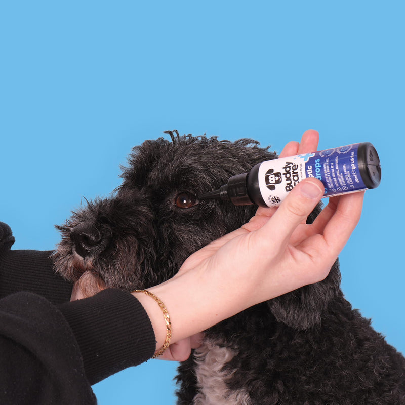 Buddycare Dog Eye Drops for Infection Vet Approved Lick-Safe Formula for Dogs & Cats to Provide Soothing to Irritated, Itchy Watery Eyes - Antibacterial, Antifungal & Antiviral Formula (60ml)